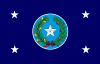 德克薩斯州州長旗
