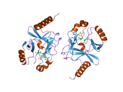 2bqz: CRYSTAL STRUCTURE OF A TERNARY COMPLEX OF THE HUMAN HISTONE METHYLTRANSFERASE PR-SET7 (ALSO KNOWN AS SET8)