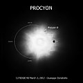 Hviezda typu F hlavnej postupnosti Prokyón