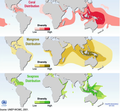 Image 20Global distribution of coral, mangrove, and seagrass diversity (from Marine ecosystem)