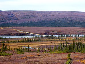 The Susitna River bridge on the Denali Highway is 1,036 feet (316 m) long.