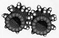 Image 6Computer simulation of nanogears made of fullerene molecules. It is hoped that advances in nanoscience will lead to machines working on the molecular scale. (from Condensed matter physics)