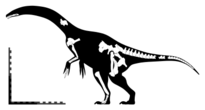Diagram of the known remains of Segnosaurus