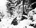 American soldiers of the 75th Division photographed in the Ardennes during the Battle of the Bulge.