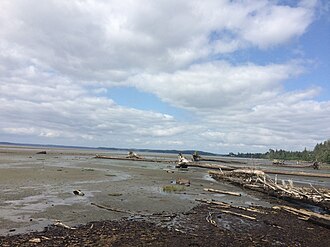 Port Clements – Veduta