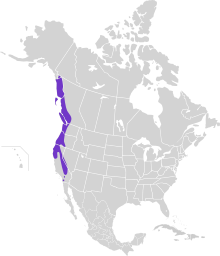 Dendragapus fuliginosus map.svg