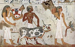 Pintura mural de la cámara funeraria de Amenemhet.
