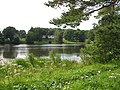 Voka paisjärv suvel