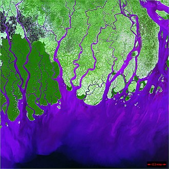Detall del delta del Ganges. S'observa l'entrellaçament de tots els canals, bàsicament perpendicular a la costa