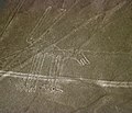 Chés géoglyfes à Nazca (Pérou)
