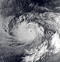 Satellite image of Typhoon Gay near peak intensity (November 20, 1992)