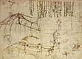 Image 7One of Leonardo's sketches (from History of aviation)