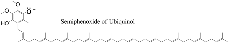 Ubiquinol, semiphenoxide