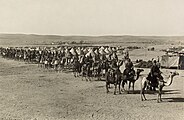 فيلق الجمال في بئر السبع أثناء حملة سيناء وفلسطين فبراير 1915.