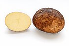 Potato and cross section.jpg