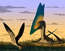 Illustration of a T. sethi, with black and white plumage and a large blue and yellow head, resting on a riverbank alongside a skimming bird