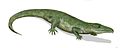 Proterosuchus, a crocodile-like early archosauriform from the Early Triassic