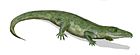 Proterosuchus fergusi