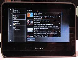 Sony Dash CES Cropped.jpg