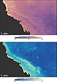Image 16Sea temperature and bleaching of the Great Barrier Reef (from Environmental threats to the Great Barrier Reef)