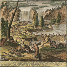 Герман Молль. «Бобровая карта» (1715)