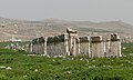 Image 3The "Great Colonnade" marks the cardo maximus of Apamea, Syria. (from History of cities)