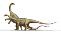 Saltasaurus