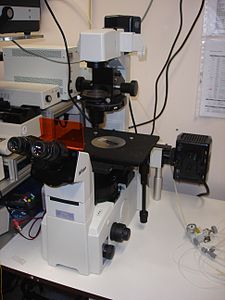Inverses Epifluoreszenzmikroskop. Das Objektiv befindet sich unter der Präparatposition und ist hier nicht sichtbar.