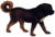 Tibetan mastiff (transparent background).png