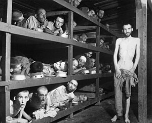 אסירים במחנה הריכוז בוכנוואלד לאחר שחרורו בידי הצבא האמריקאי. האסיר השביעי משמאל בשורה השנייה הוא אלי ויזל