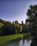 Dendropark