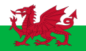Galles – Bandiera