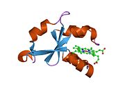 1m2m: Crystal structure of E44A/E48A/E56A/D60A mutant of cytochrome b5