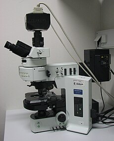 Ein aufrechtes Epifluoreszenzmikroskop. Das schwarze Gehäuse rechts enthält die Lichtquelle für die Fluoreszenz-Anregung. Im schwarzen Gehäuse oben auf dem Mikroskop befindet sich eine CCD-Kamera.