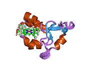 1nx7: Solution Structure of Oxidized Bovine Microsomal Cytochrome B5