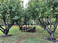 College Orchards