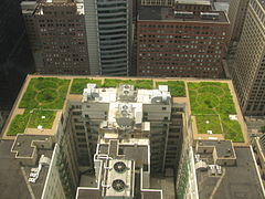 Roof garden atop city hall