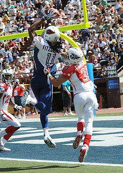 Larry Fitzgerald catches TD at 2009 Pro Bowl.jpg