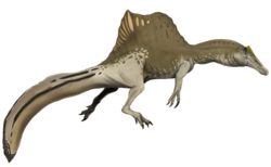 Spinosaurus aegyptiacus