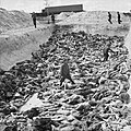 Image 27A mass grave at Bergen-Belsen after the camp's liberation, April 1945 (from The Holocaust)