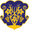 Coat of arms of Uzhhorod
