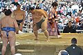 靖国神社奉納大相撲 相手は高安関（2017年4月17日撮影）