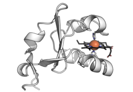 Cytochrome b5