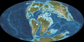 Locations of spinosaurid fossil discoveries marked with white circles on a map of Earth during the Albian to Cenomanian of the Cretaceous Period