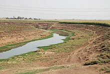 Thin stream of water surrounded by greenery and banks, above which is desert