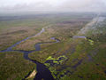 A color photograph taken from the air of a portion of the Kissimmee River; visible is the outline of the C-38 canal, filled with water and grass as the natural bends of the river grow through the canal