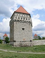 Одна з 5 веж Скалатської фортеці