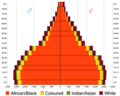 Population pyramid by population group, 2011