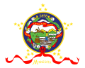 Flag of Minnesota (1893-1957; front)