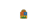 Flag of Quintana Roo (2013–2016)